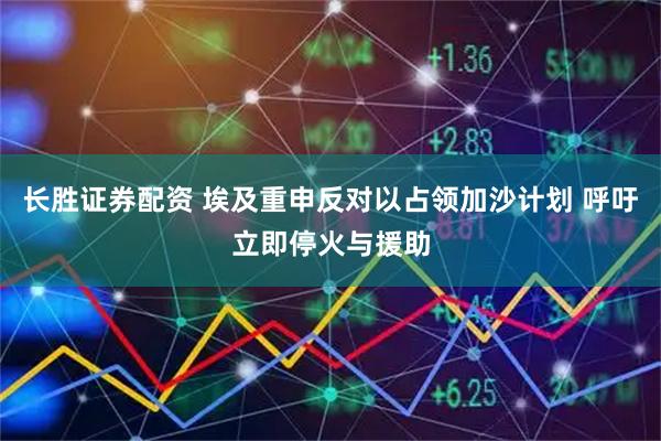 长胜证券配资 埃及重申反对以占领加沙计划 呼吁立即停火与援助