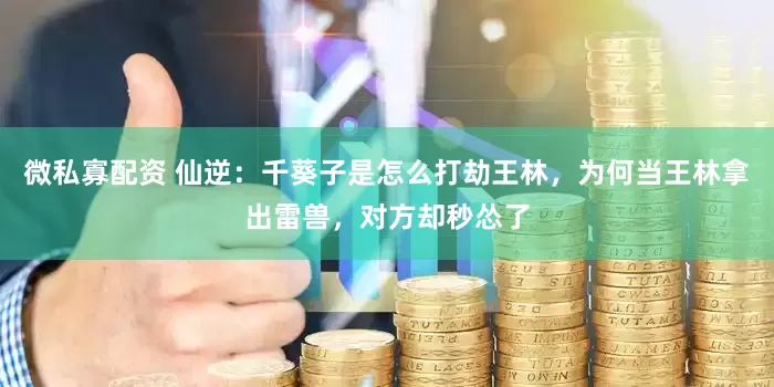 微私寡配资 仙逆：千葵子是怎么打劫王林，为何当王林拿出雷兽，对方却秒怂了